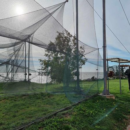 Sturmu Svyturys Bed & Breakfast Sturmai Екстериор снимка