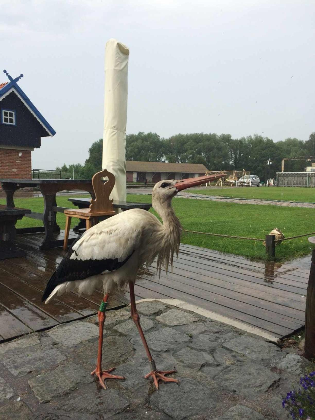 Sturmu Svyturys Bed & Breakfast Sturmai Екстериор снимка