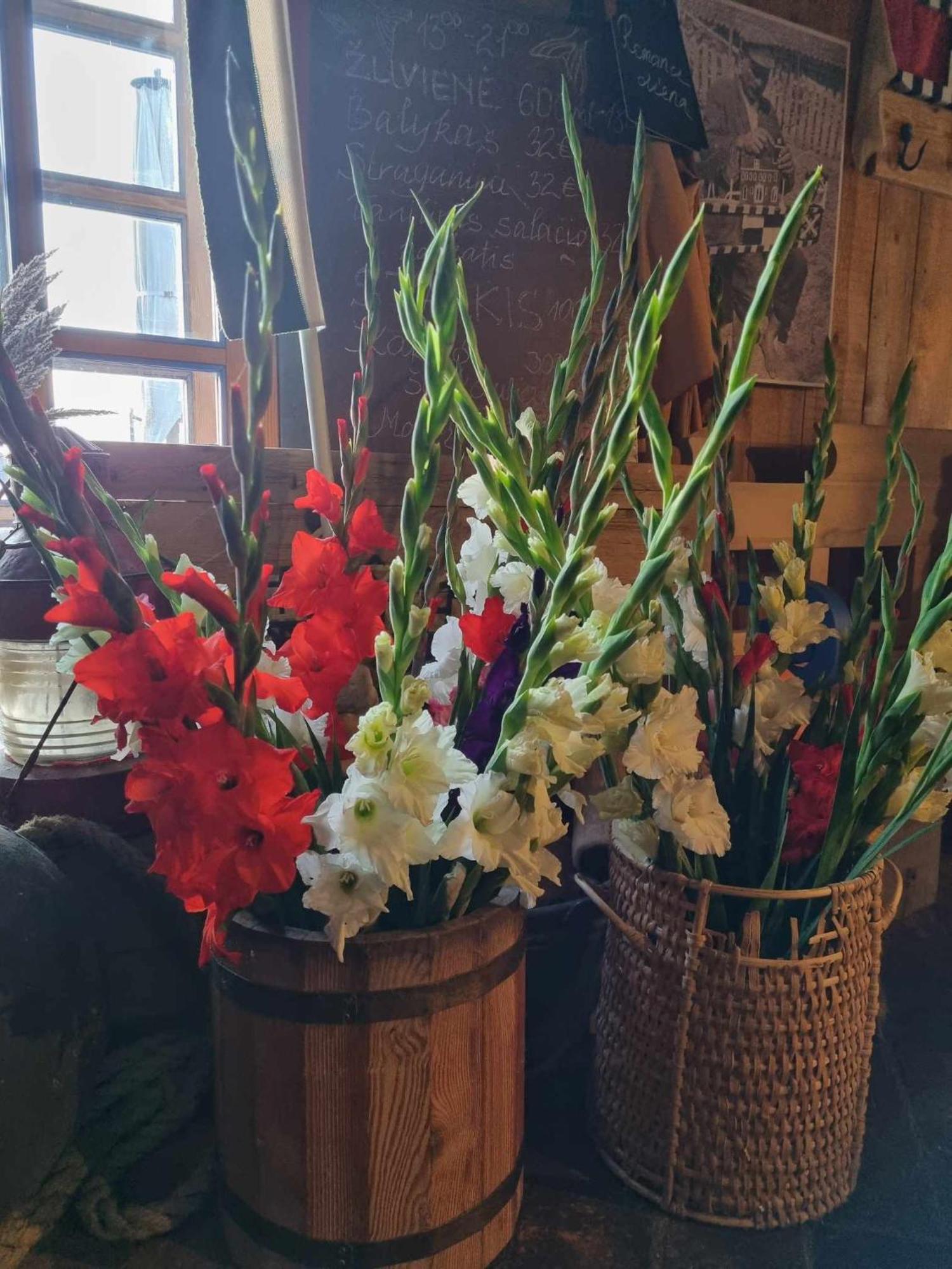 Sturmu Svyturys Bed & Breakfast Sturmai Екстериор снимка