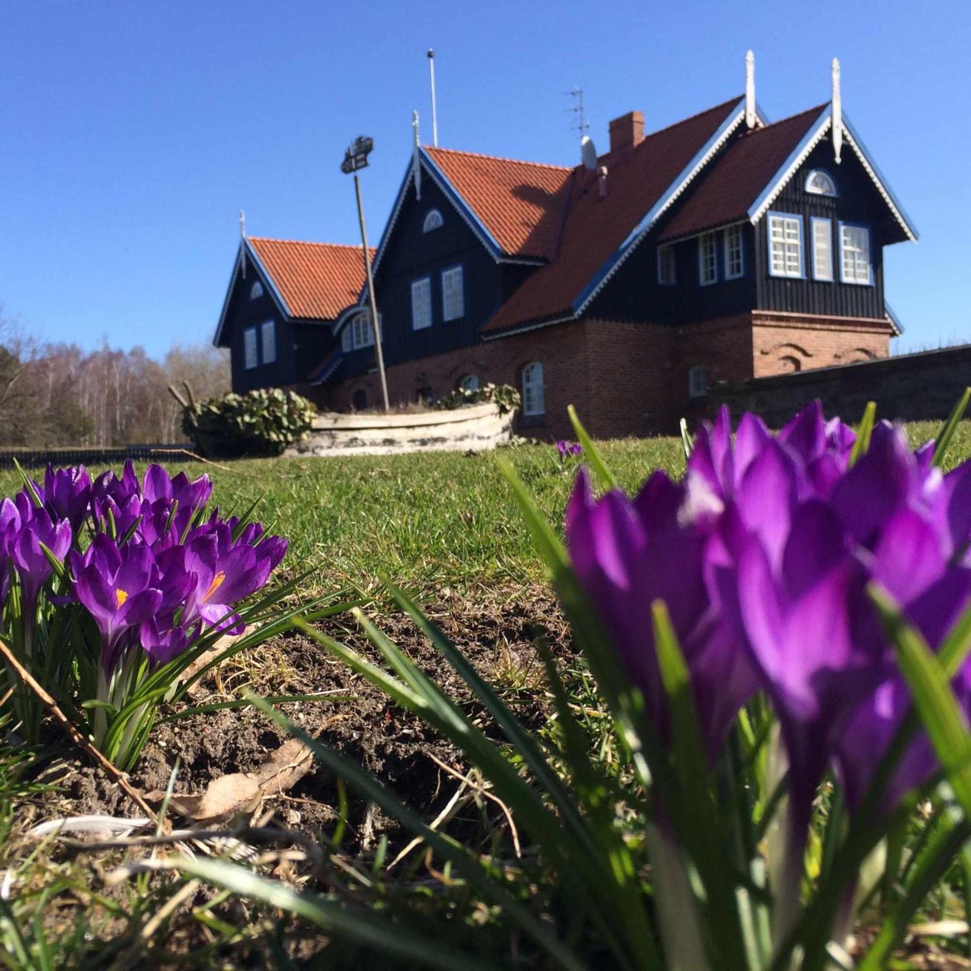 Sturmu Svyturys Bed & Breakfast Sturmai Екстериор снимка